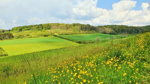 UN PEU D’ECOLOGIE