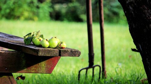 LES JARDINS FAMILIAUX