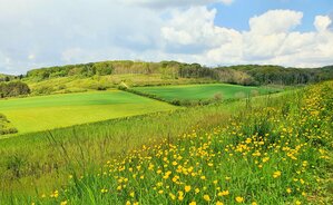 UN PEU D’ECOLOGIE