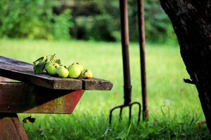 LES JARDINS FAMILIAUX