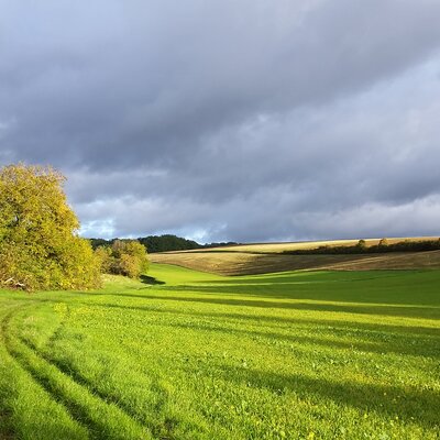 Balade à Bussy en Othe