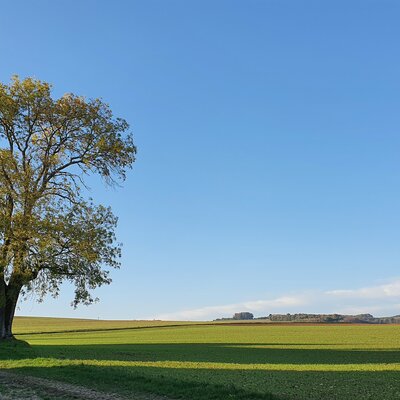 Balade à Villepied - Bussy en Othe