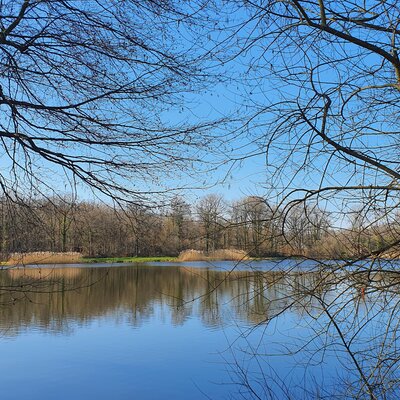 Etang du Haut - St Ange - Bussy en Othe