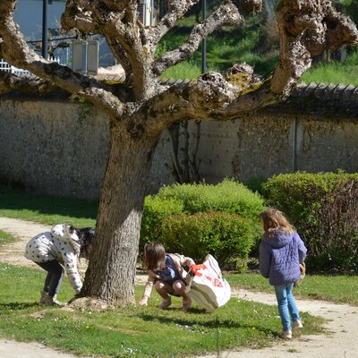 Chasse aux Oeufs dans le Parc des Epicéas