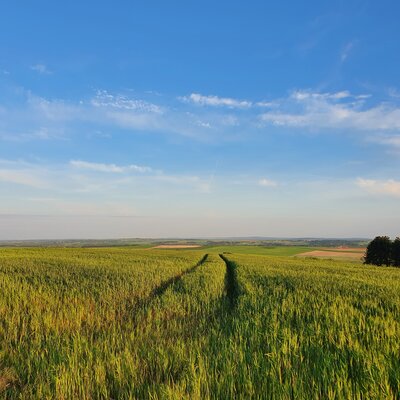 Balade autour du Hameau de Villepied