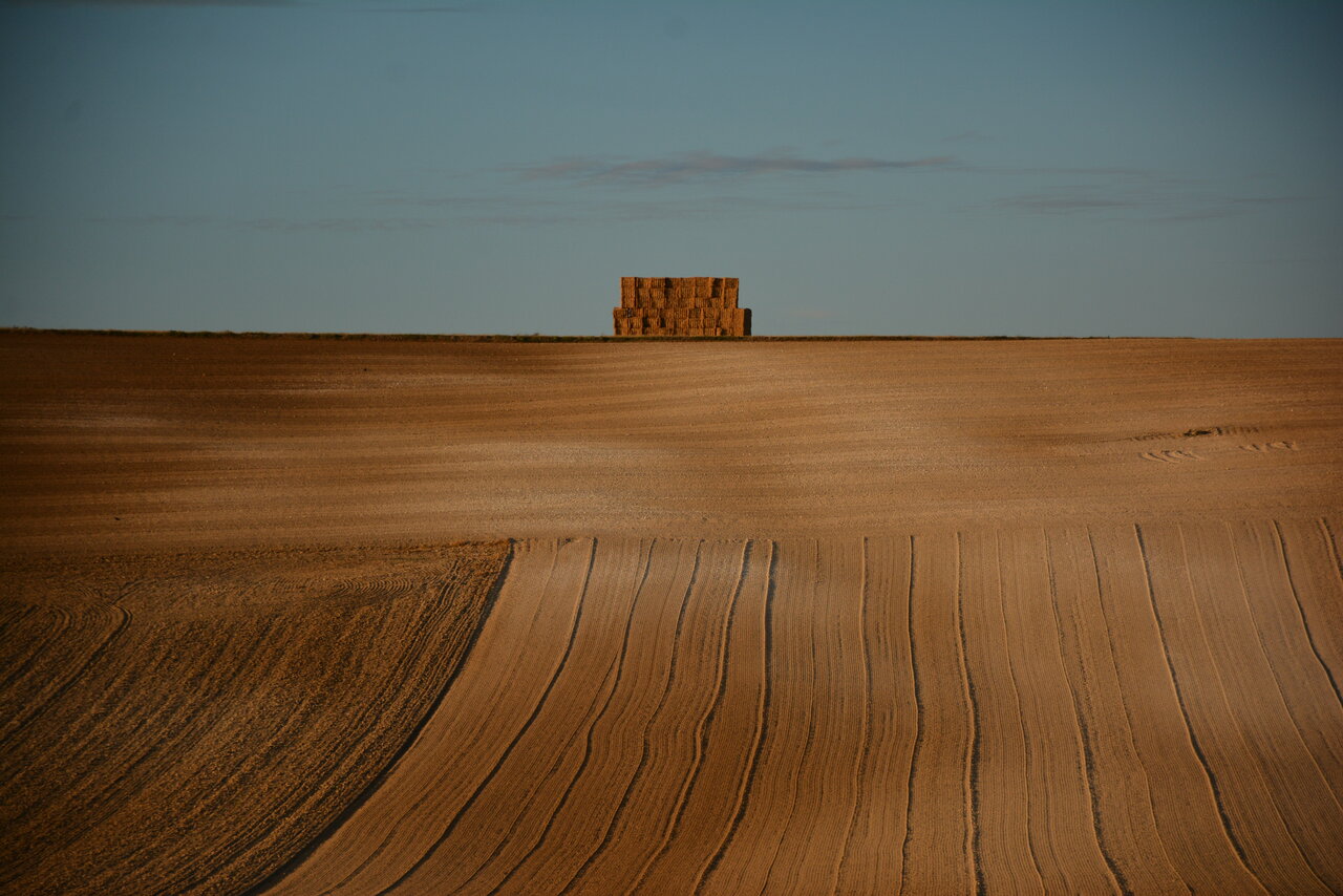 Villepied